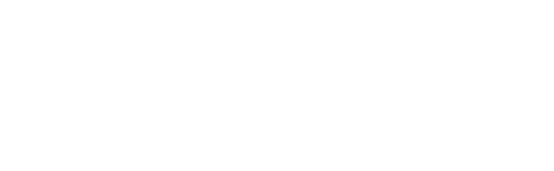 Logo CIES